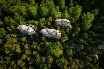 michaela rimakova fa m LsK9zc unsplash