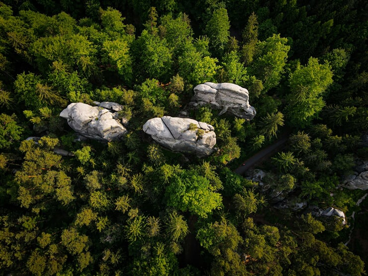 michaela rimakova fa m LsK9zc unsplash