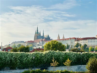 reza bina lgGjAtvvRzM unsplash