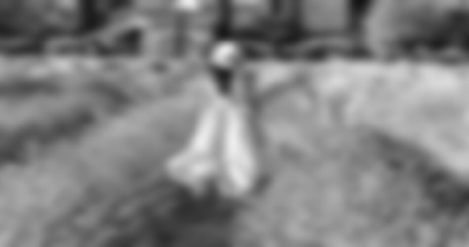 Levandulová Provence - poklady jižní Francie