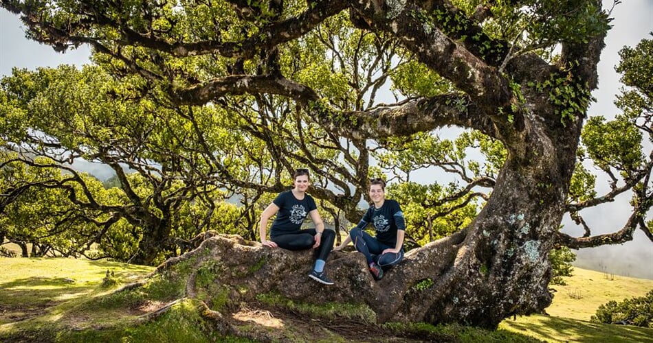 Foto - To nejlepší z Madeiry + OSTROVNÍ GASTRONOMIE + VÝLETNÍ PLAVBA NA PORTO SANTO