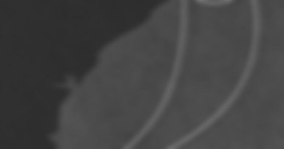 Costa Diadema - Brazílie (Santos)