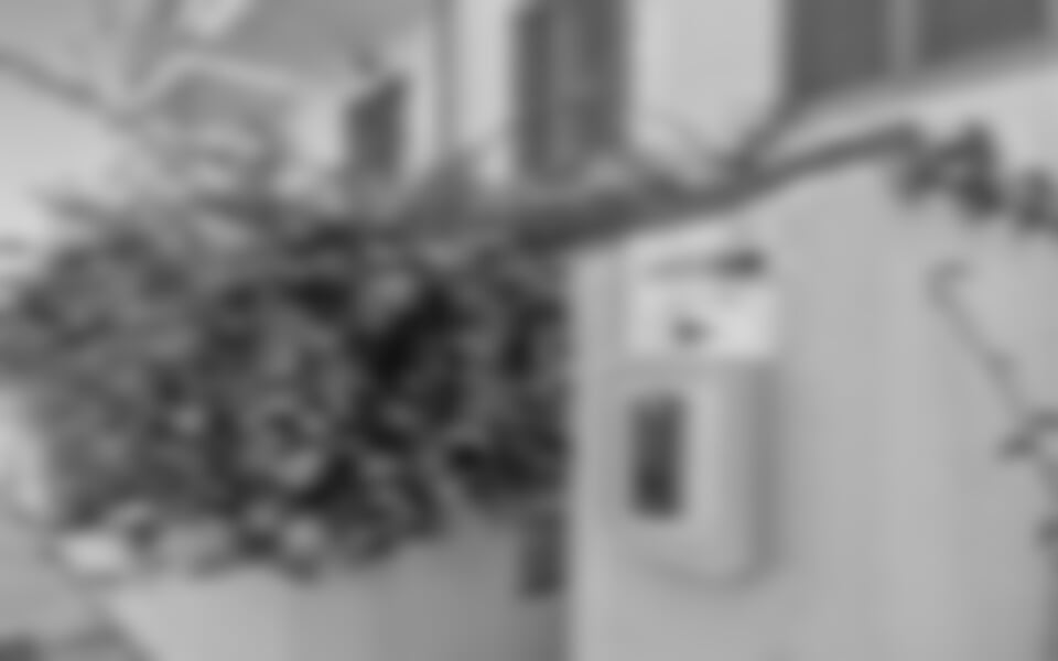 Oblast OLBIA TEMPIO - RESIDENCE LE PAVONCELLE