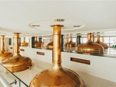 06 PU IMAGE SHOOT 2023 LQ 20