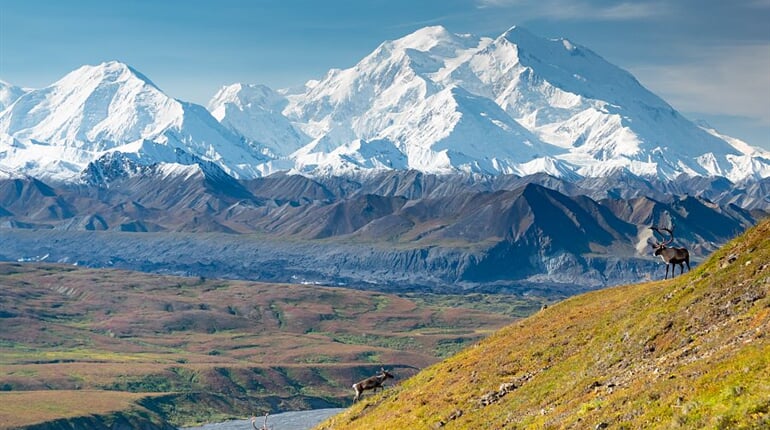 Foto - To nejlepší z Aljašky + DIVOKÁ FAUNA SEVERU + PLAVBA LEDOVCOVOU KRAJINOU