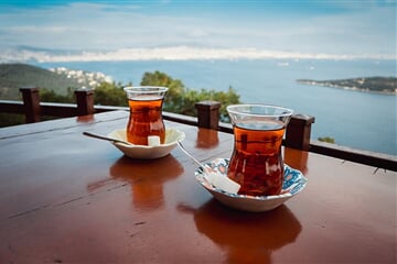 To nejlepší z Istanbulu + PRINCOVY OSTROVY