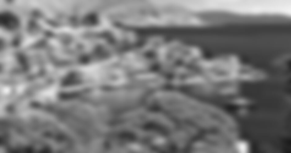 Město Symi - Hotel Iapetos Village - Symi