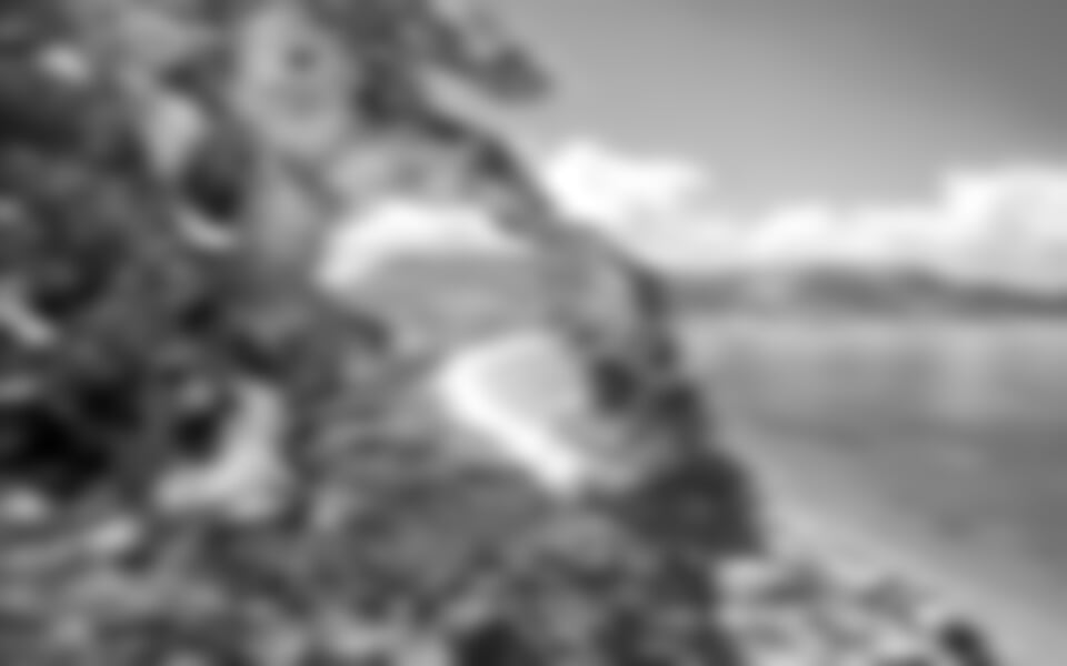 To nejlepší ze Sokotry + ENDEMICKÁ PŘÍRODA OSTROVA + TREK V POHOŘÍ SKAND (leteck