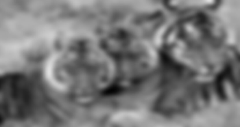 Norwegian Sun - Asijští tygři + Čínský Nový rok - letecky s delegátem