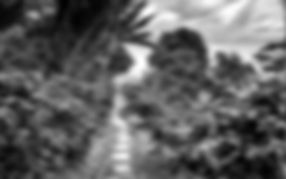 Velký okruh Jamajkou