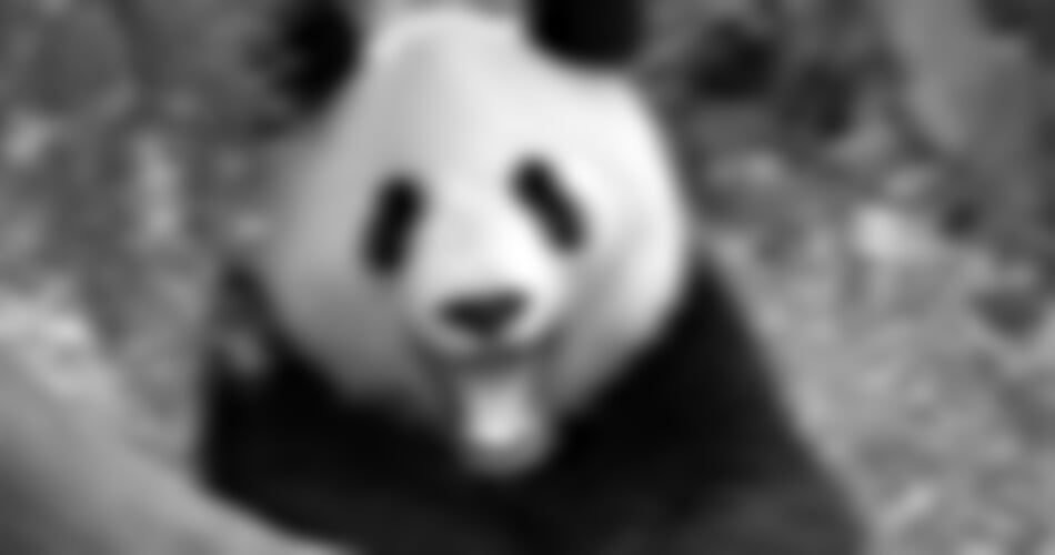 Vídeň - Za pandami do vídeňské ZOO a Dům moří