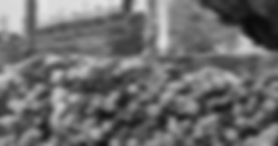 Baveno - Švýcarští velikáni a nejkrásnější zahrady u Lago Maggiore