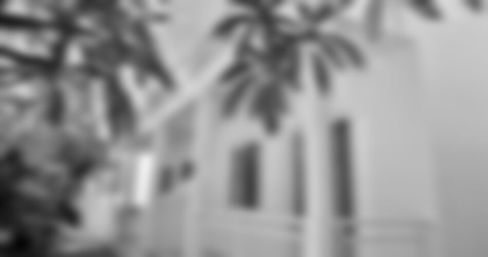 Stegna - Studia George´s