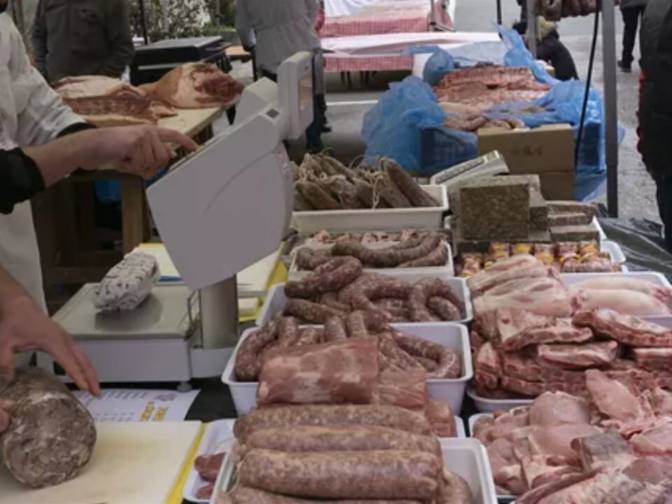 Snímek obrazovky 2026 02 16 113145