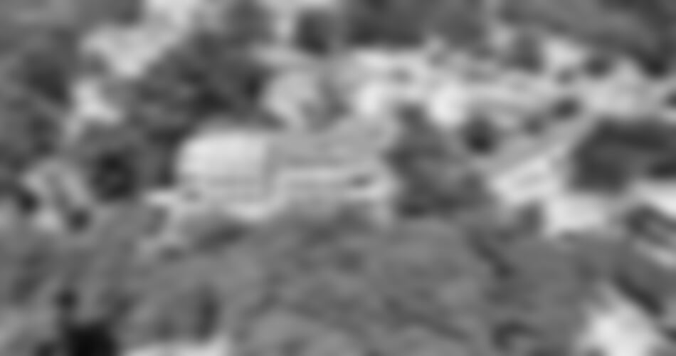 Brela - Petra vila se stravou ***