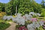 Pomezí   rododendronový park 4