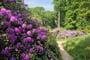 Pomezí   rododendronový park Kromlau 3