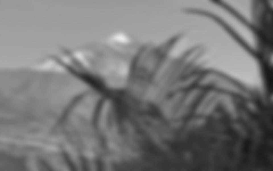 Puerto de la Cruz - Sopečné TENERIFE, perla Kanárských ostrovů