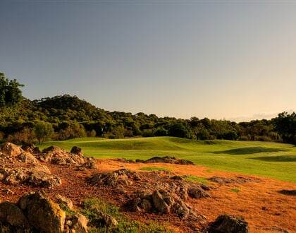 Vall d'Or Golf Rough