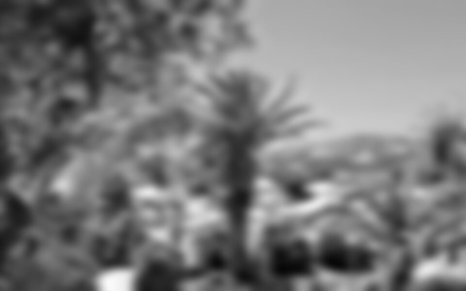 Mylopotas - Hotel Dionysos Seaside Resort