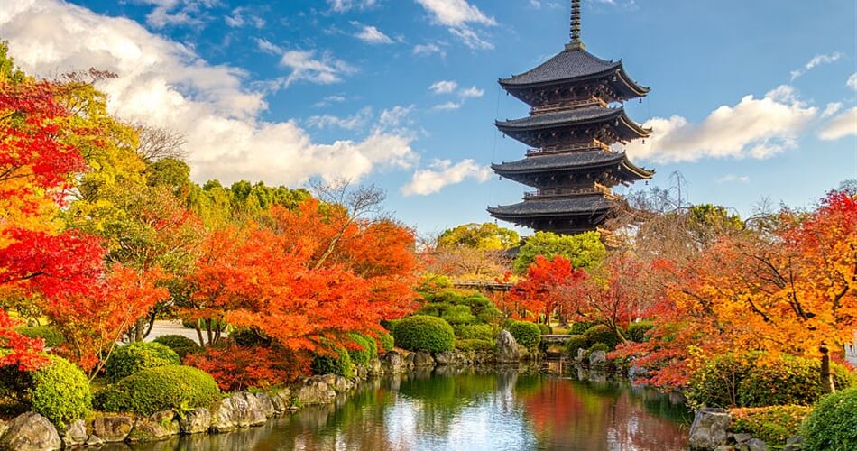 Foto - To nejlepší z Japonska + BAREVNÝ PODZIM + TRADIČNÍ LÁZNĚ