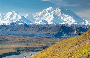 To nejlepší z Aljašky + DIVOKÁ FAUNA SEVERU + PLAVBA LEDOVCOVOU KRAJINOU