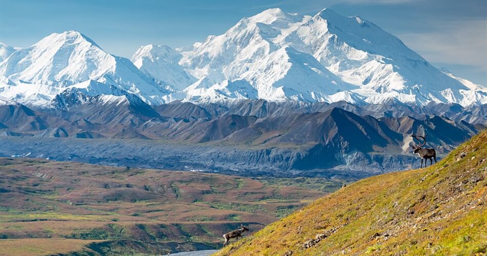 Foto - To nejlepší z Aljašky + DIVOKÁ FAUNA SEVERU + PLAVBA LEDOVCOVOU KRAJINOU
