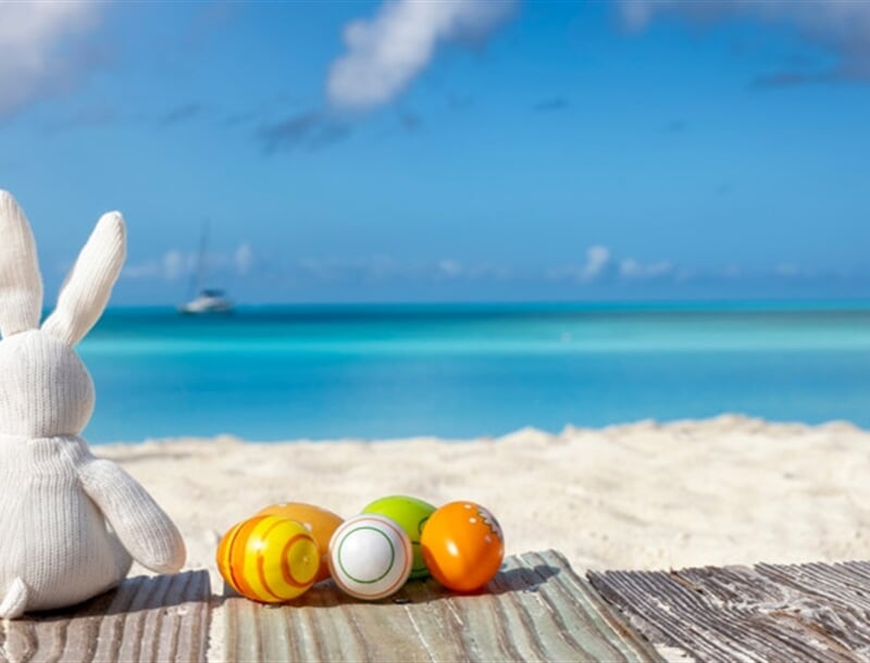 shutterstock 2123356094