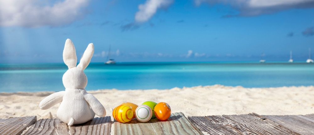 shutterstock 2123356094