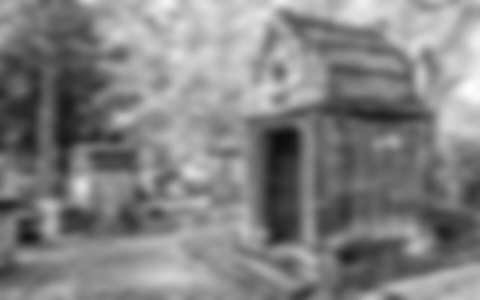 To nejlepší z Paříže + LOUVRE + HŘBITOV PERE-LACHAISE