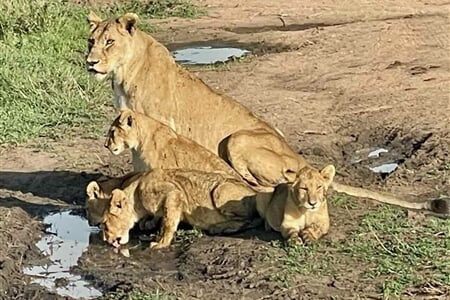 Nungwi - Zanzibarem od severu k jihu, safari v Tanzánii