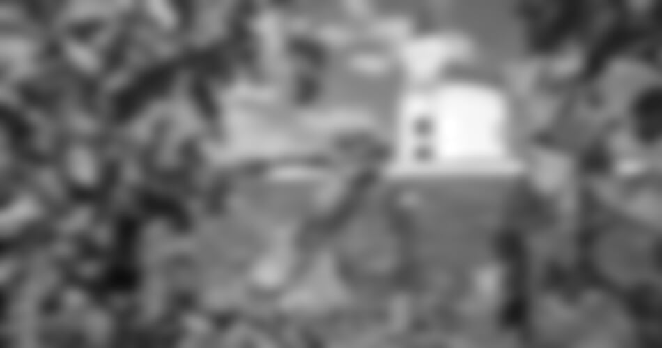 To nejlepší z Tokaje + VINOBRANÍ + LÁZNĚ V EGERU