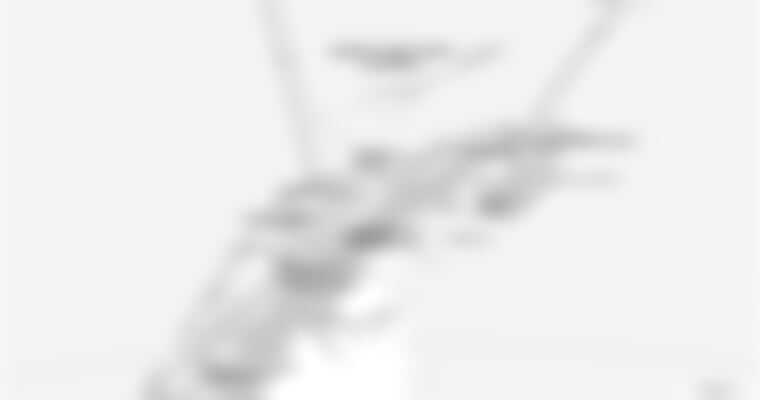 Antarctica - Elephant Island - Weddell Sea - Polar Circle (m/v Plancius)