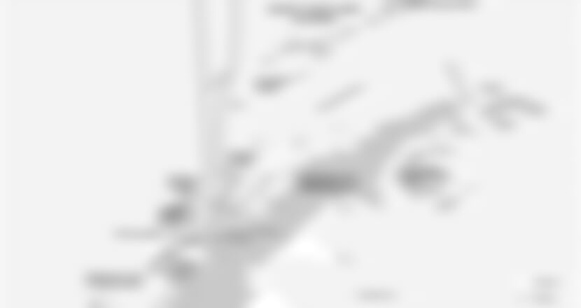 Antarctica - Whale watching discovery and learning voyage (m/v Hondius)