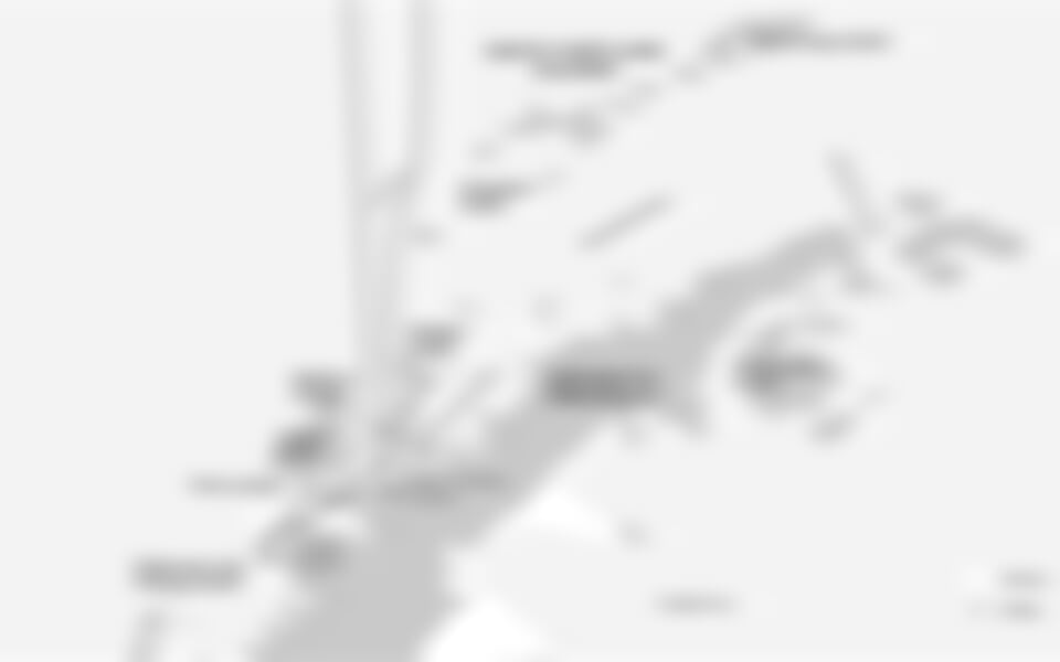 Antarctica - Whale watching discovery and learning voyage (m/v Hondius)