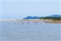 Valtur Sardegna Eos Costa Rei, laguna s plameňáky, Costa Rei