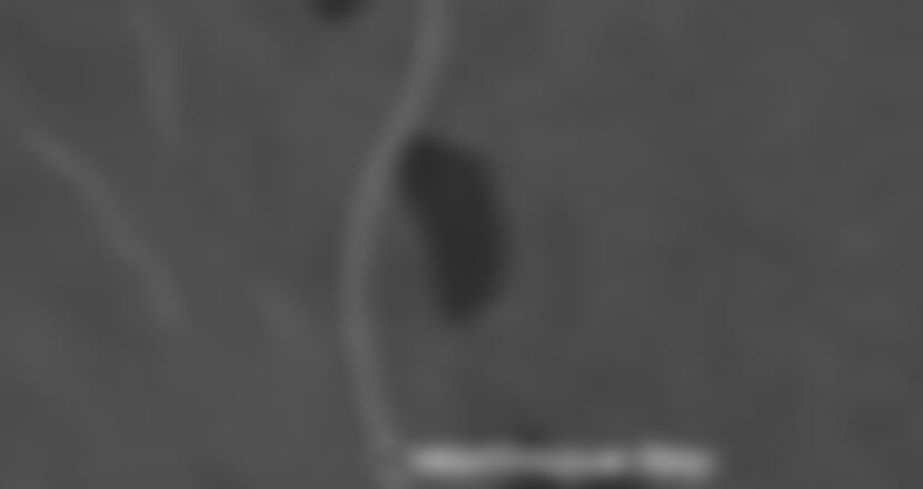 Costa Fascinosa - Nizozemské Antily (Fort-de-France)