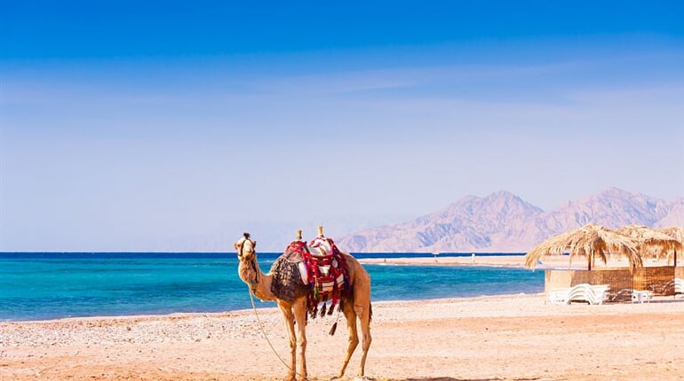 Foto - To nejlepší z Jordánska + POBYT U RUDÉHO A MRTVÉHO MOŘE