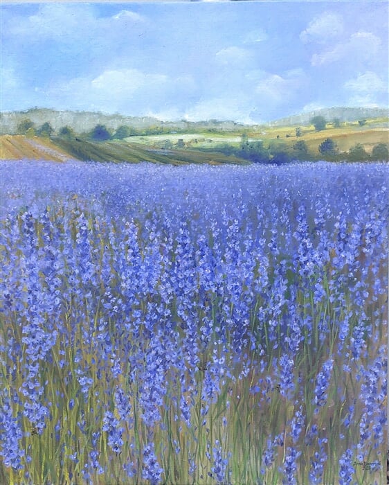 Levandulová pole v Bezděkově, olej na plátně 80 x 100 cm