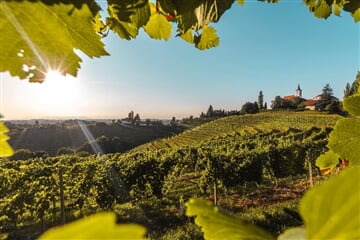 Mala Nedelja - Autobusem za termály a vínem do Slovinska