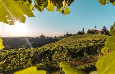 Mala Nedelja - Autobusem za termály a vínem do Slovinska