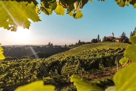 Mala Nedelja - Autobusem za termály a vínem do Slovinska