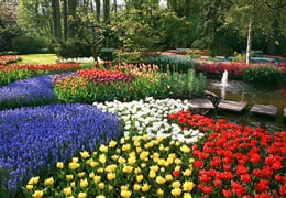 To nejlepší z Amsterdamu + KVĚTINOVÁ ZAHRADA KEUKENHOF