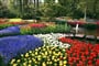 Foto - To nejlepší z Amsterdamu + KVĚTINOVÁ ZAHRADA KEUKENHOF