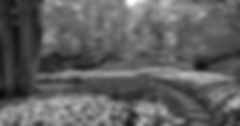 Velikonoční Amsterdam + KVĚTINOVÁ ZAHRADA KEUKENHOF + SLAVNÁ MUZEA