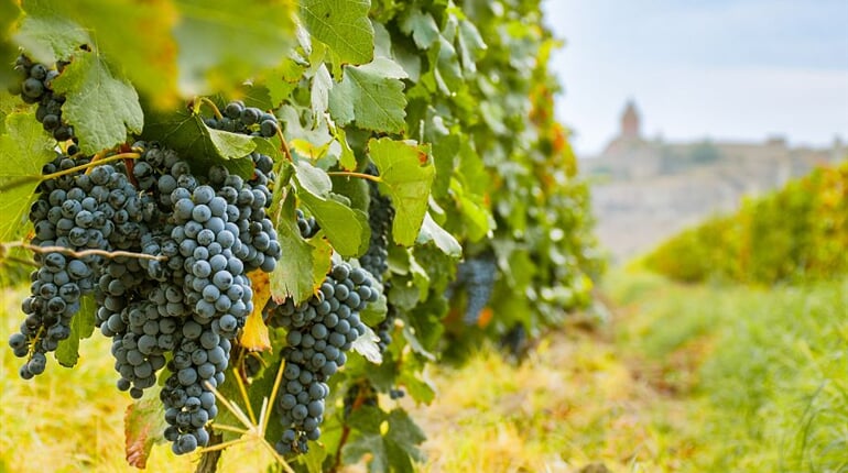Foto - To nejlepší z Arménie + JEZERO SEVAN + TAJEMSTVÍ VÝROBY VÍNA A DEGUSTACE