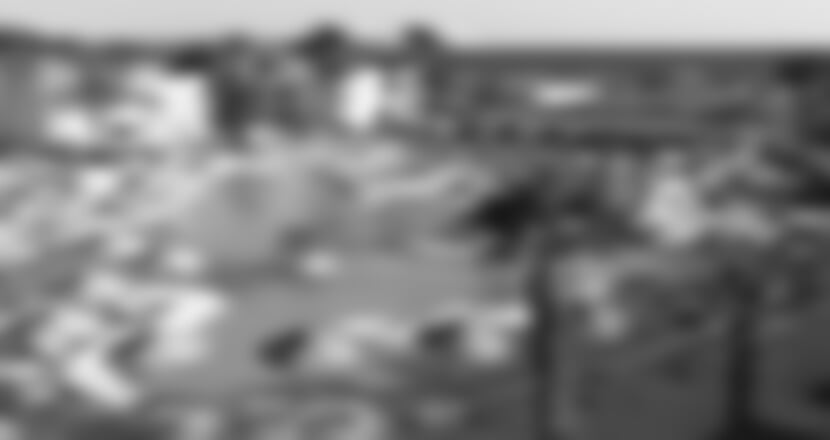 Hotel Jaz Palmariva Beach ****