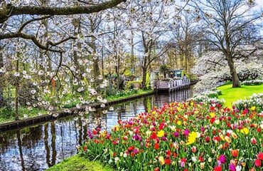 To nejlepší z Amsterdamu + KVĚTINOVÁ ZAHRADA KEUKENHOF