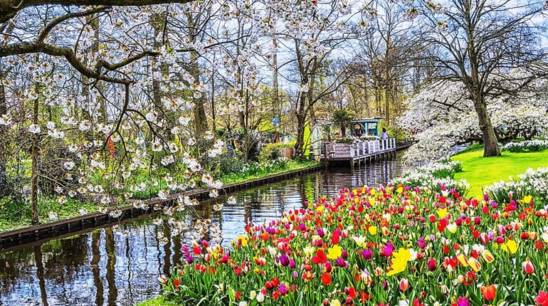 Foto - To nejlepší z Amsterdamu + KVĚTINOVÁ ZAHRADA KEUKENHOF