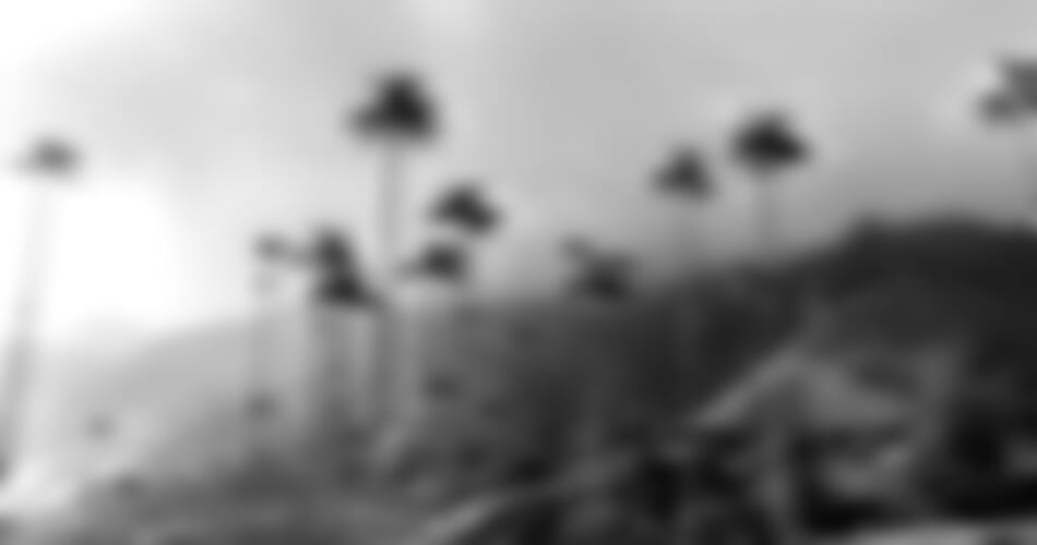 To nejlepší z Kolumbie + ÚDOLÍ COCORA + KOUPÁNÍ NA KARIBSKÉM POBŘEŽÍ